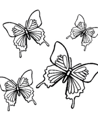 Ausmalbild Schmetterling kostenlos 6