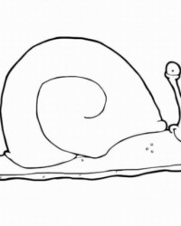 Ausmalbild Schnecke kostenlos 3