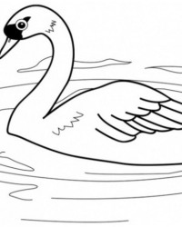 Ausmalbild Schwan kostenlos 1