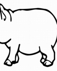 Ausmalbild Schwein kostenlos 3