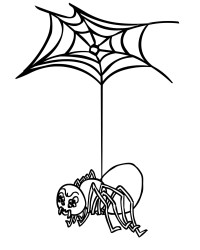 Ausmalbild Spinne kostenlos 2