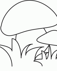 Ausmalbild Steinpilz kostenlos 2