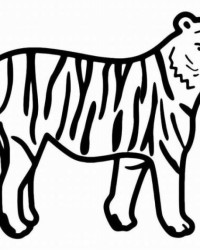 Ausmalbild Tiger kostenlos 1