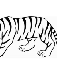 Ausmalbild Tiger kostenlos 3