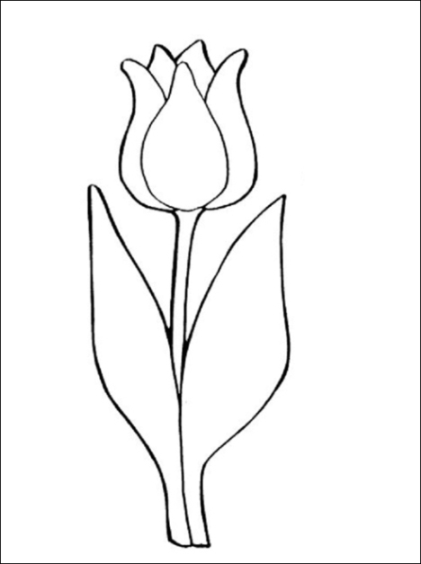 Ausmalbild Tulpe kostenlos 2 ¶ Malvorlagen zum Drucken