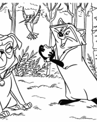 Ausmalbild Waschbär kostenlos 1