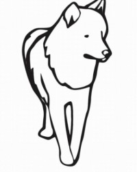 Ausmalbild Wolf kostenlos 1