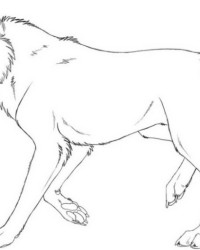 Ausmalbild Wolf kostenlos 2