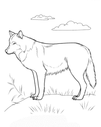 Ausmalbild Wolf kostenlos 4