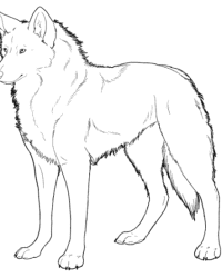 Ausmalbild Wolf kostenlos 6